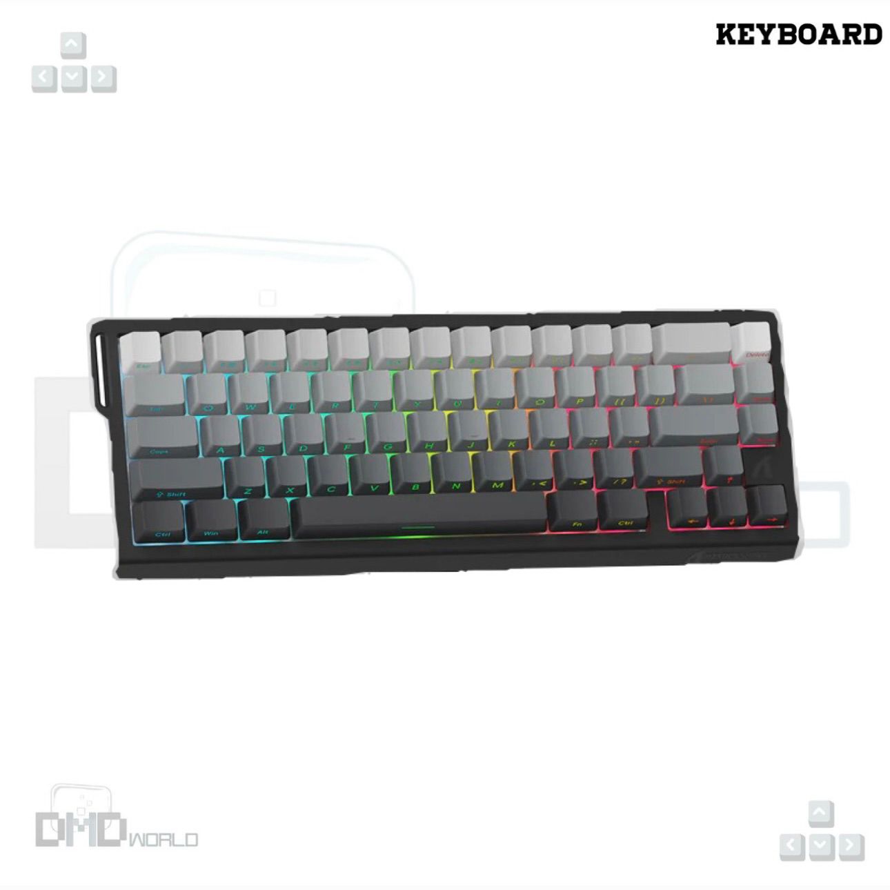 WhatsApp Image 2026-01-18 at 10.06.02 AM